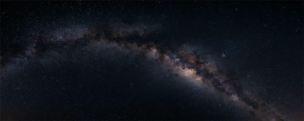 The Stellar Heritage: From Supernova to Consciousness